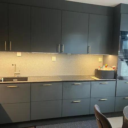 3rd Floor Living Space With Shared Kitchen Séjour chez l'habitant Oslo